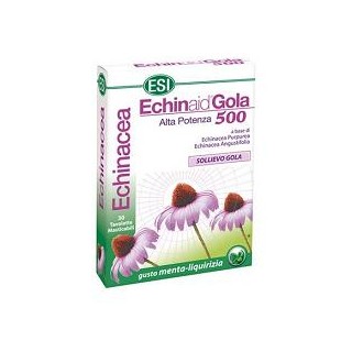 ECHINAID GOLA MENTA LIQUIR 30T