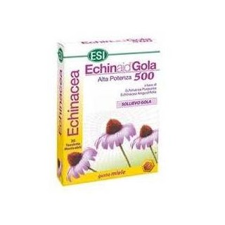 ECHINAID GOLA MIELE 30TAV