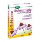 ECHINAID GOLA MIELE 30TAV