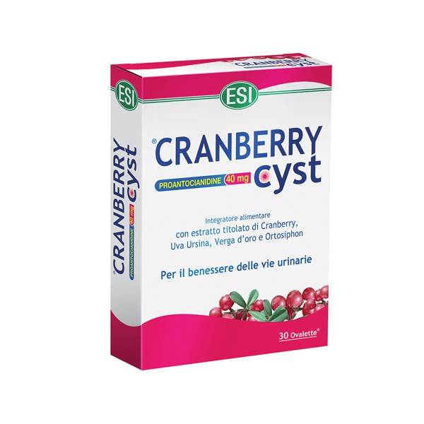 CRANBERRY CYST 30 OVALETTE OFS