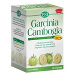 GARCINIA CAMBOGIA 1000MG 60CPR