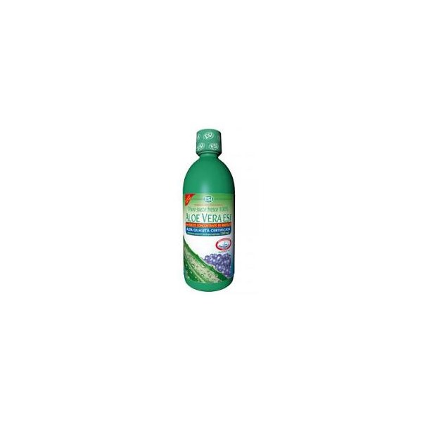 ALOE VERA SUCCO MIRTILLO 500ML
