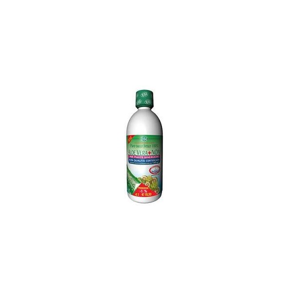 ALOE VERA SUCCO NONI 1000ML