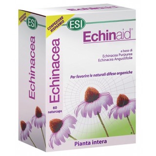 ECHINAID 60CPS