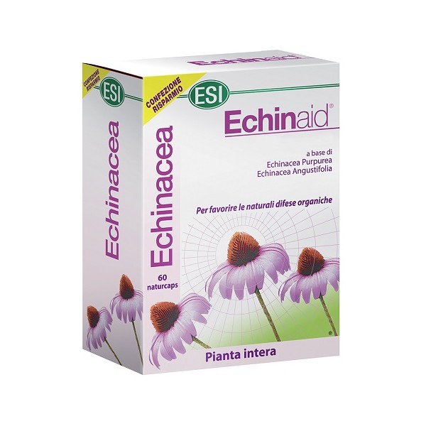 ECHINAID 60CPS