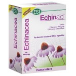 ECHINAID 60CPS