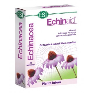 ECHINAID 30CPS